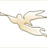 Angel & trumpet 