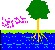 tree water