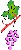 vine grape