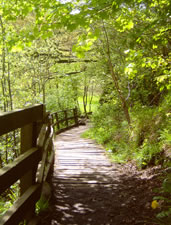nature path