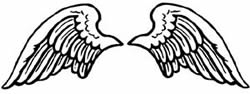 angel wings
