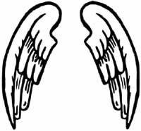 angel wings