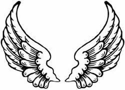 angel wings