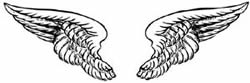 angel wings