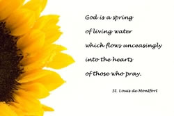 Saint Louis de Montfort