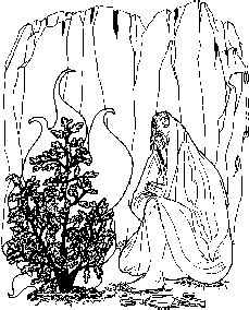Moses and the burning bush.