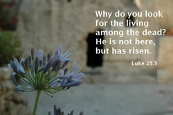 He is risen!