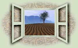 open window
