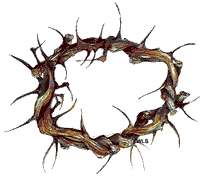Images by:W Seelhoff - crown of Thorns -  http://www.wels.net/sab/clipart/ca-02.html