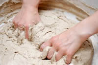 yeast