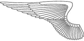 angel wings  coloring page