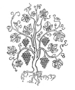vine