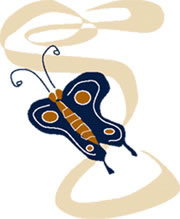 butterfly